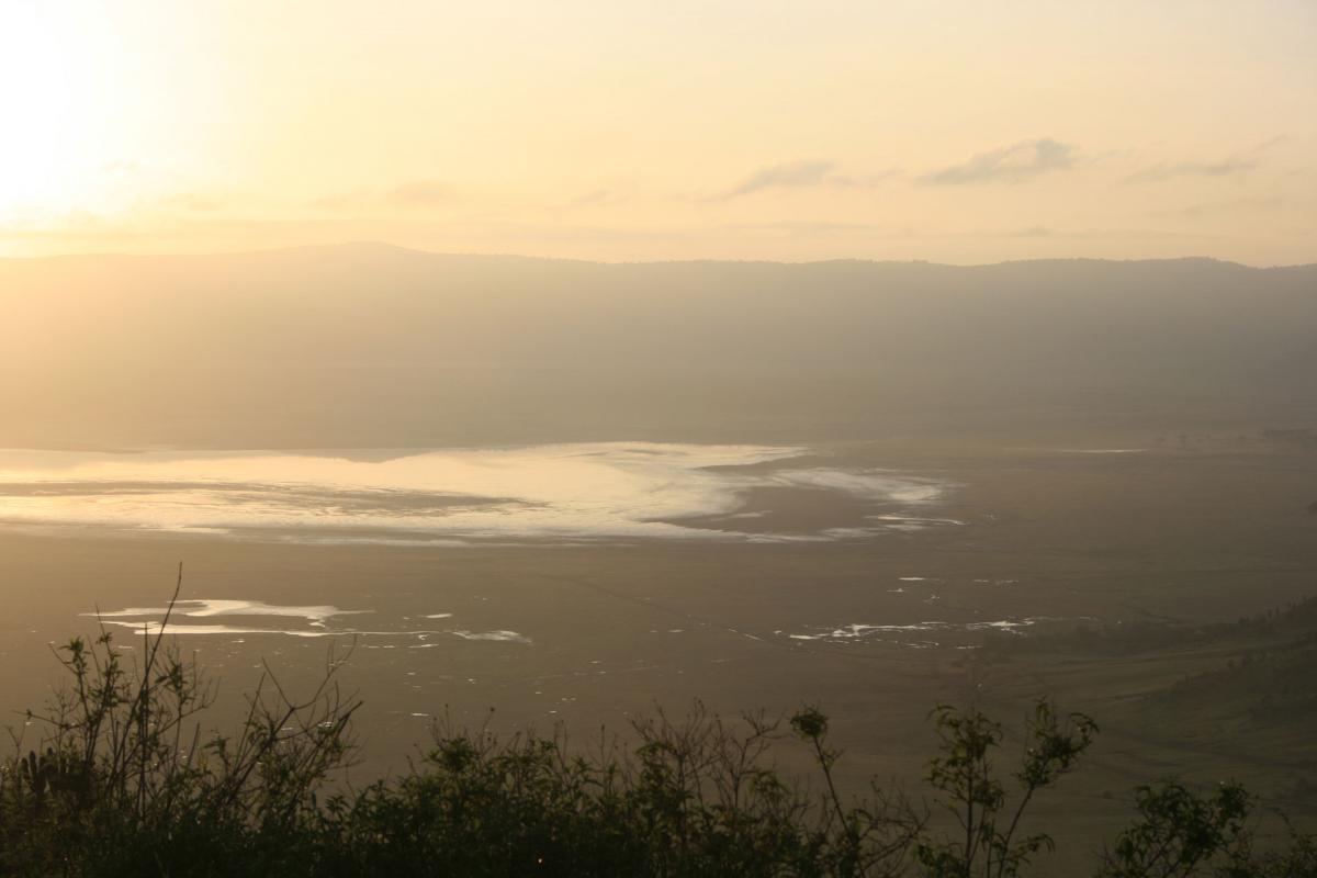 Serengeti -12-6-10-2008-651-w 